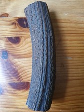 Geweihteile Geweihrollen Abwurfstangen Hirschhorn  Knochen Griffschalen Basteln