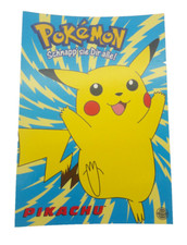 Pokemon Pikachu Nintendo