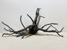 Schwarze Moorwurzel XL