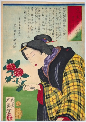 Yoshitoshi want to make - •,