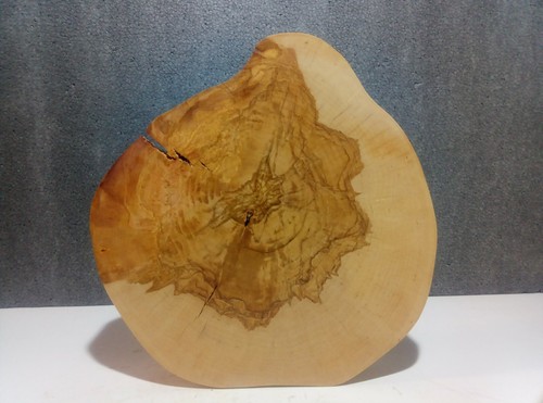Baumscheibe holzscheibe - baumscheibe,,