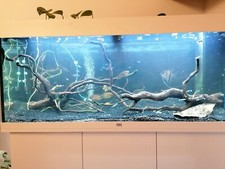 HQ Komplett Aquarium mit Unterschrank, L120xB40xH128,   Juwel RIO 240, Weiß