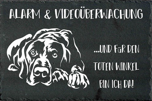 Deutsch kurzhaar - deutsch,