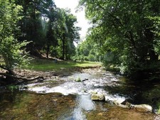 Foto 6x4 Fluss Hadeo Hartford\/SS9529 um 2016