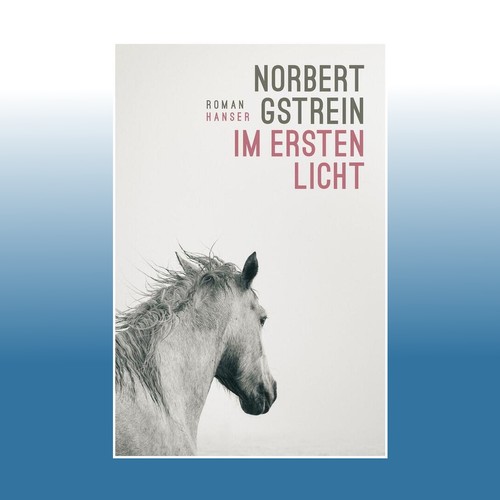 Ersten licht norbert - im,