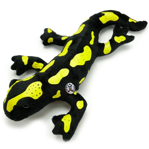 Feuersalamander louis lurch - louis,
