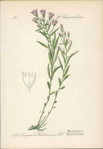 Chromolithographie - ,