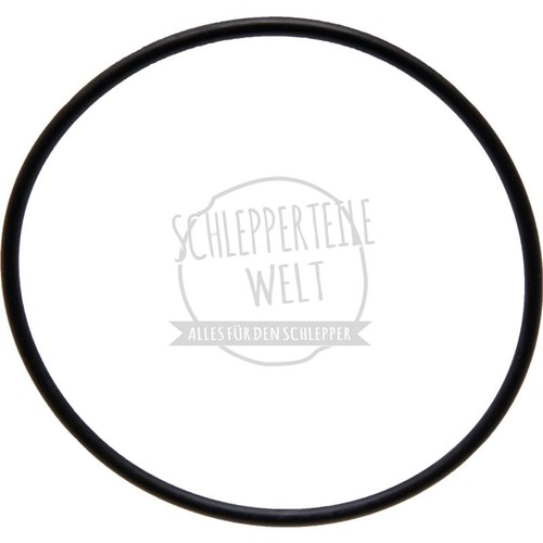 Dichtring steuergerät - dichtring,