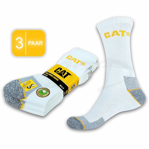 Cat caterpillar real - caterpillar,