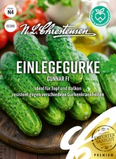 Einlegegurke Gunnar F1 ideal