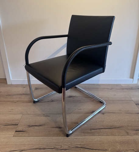 Walter knoll - walter,