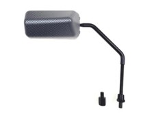 Spiegel links oder rechts - F1