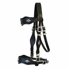 BAROCKZAUM + ZÜGEL Showzaum