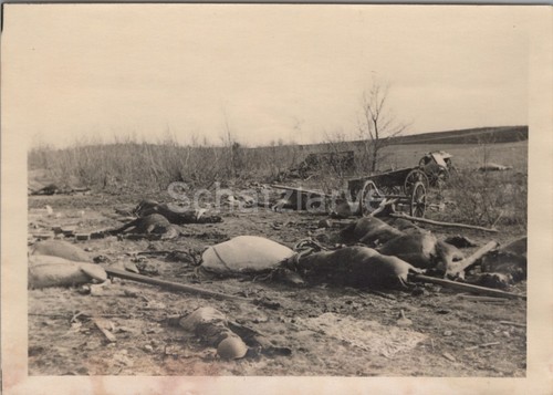 Foto l kradmelder - n.l.,