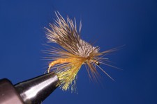 Fliegentom Trockenfliege 3