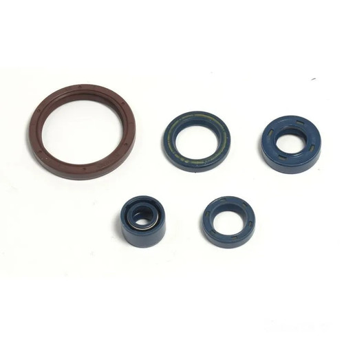 Dichsatz motordichtringe motor - dichsatz,