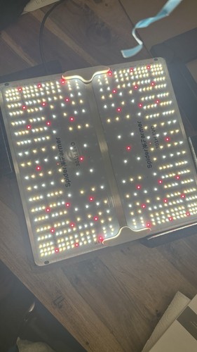 Spider farmer sf2000pro led - sf2000pro,