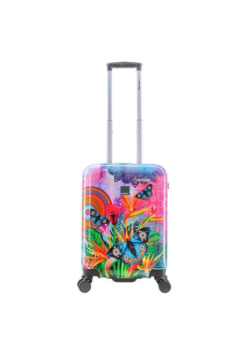 Saxoline blue butterfly - saxoline,