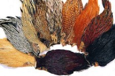 Indian Cock Capes verschiedene Farben Gordon Griffiths