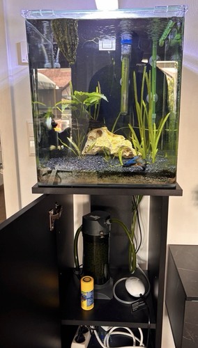 Dennerle nano cube complete - dennerle,