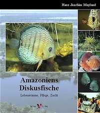 Amazoniens diskusfische - amazoniens,