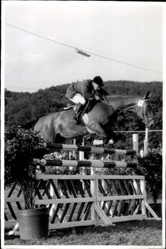 Foto springreiten sprung - springreiten,,