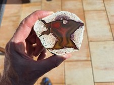 Achat Hohenstein-Ernstthal