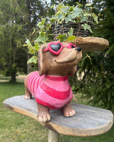 Dackel mit rosa herzförmiger - dackel,