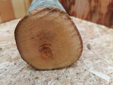 Drechselholz Buche Ø 8 cm x