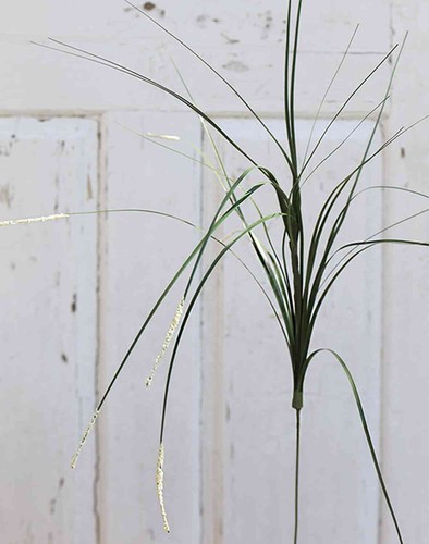 Artplants kunst - artplants,
