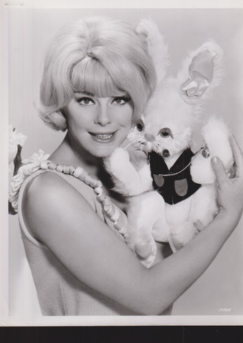 Elke sommer original - elke,
