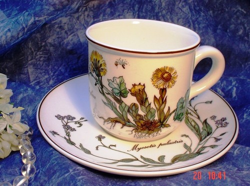 Villeroy boch botanica - boch, 1