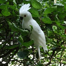 Künstliche Vogelfeder