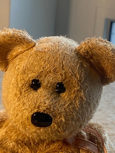 Beanie babies cashew - beanie,