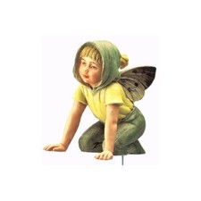 Flower Fairy Hopfenkleejunge