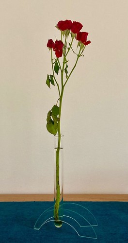 Vase stangenvase rosenvase - vase,