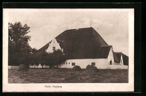 Husum roter hauberg - roter,