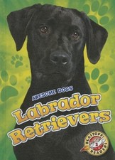 Labrador Retrievers Labrador