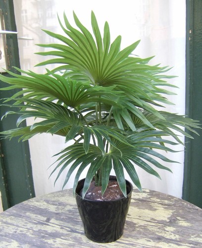 Künstliche fan palme - künstliche, topf