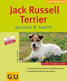 Jack russell terrier gesund - jack,