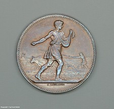 Bronze Medaille  - COMICE