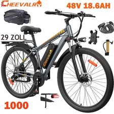 1000W E-Bike 29 Zoll