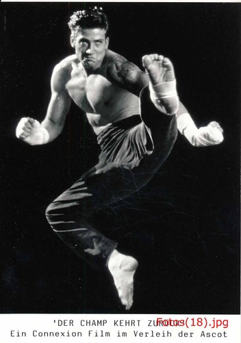 Kickboxer der champ kehrt - kickboxer,