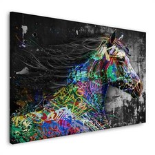 Pferd schwarz weiß Graffiti