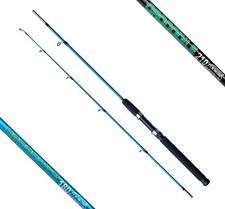 Angelrute Spinnrute Spinning