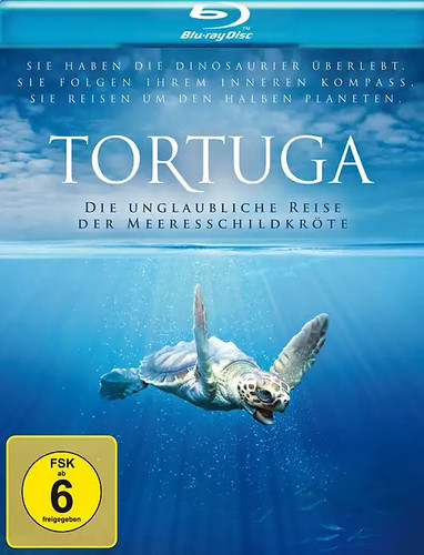 Tortuga die unglaubliche - tortuga,