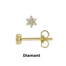 Stern Ohrstecker Ohrringe Gold