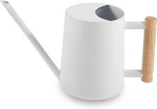 Gießkanne Zimmerpflanzen