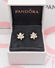 Pandora Herbarium Cluster