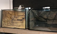 Aquarien, Paludarien , 80cm tief, mit Deko, 2 Stück